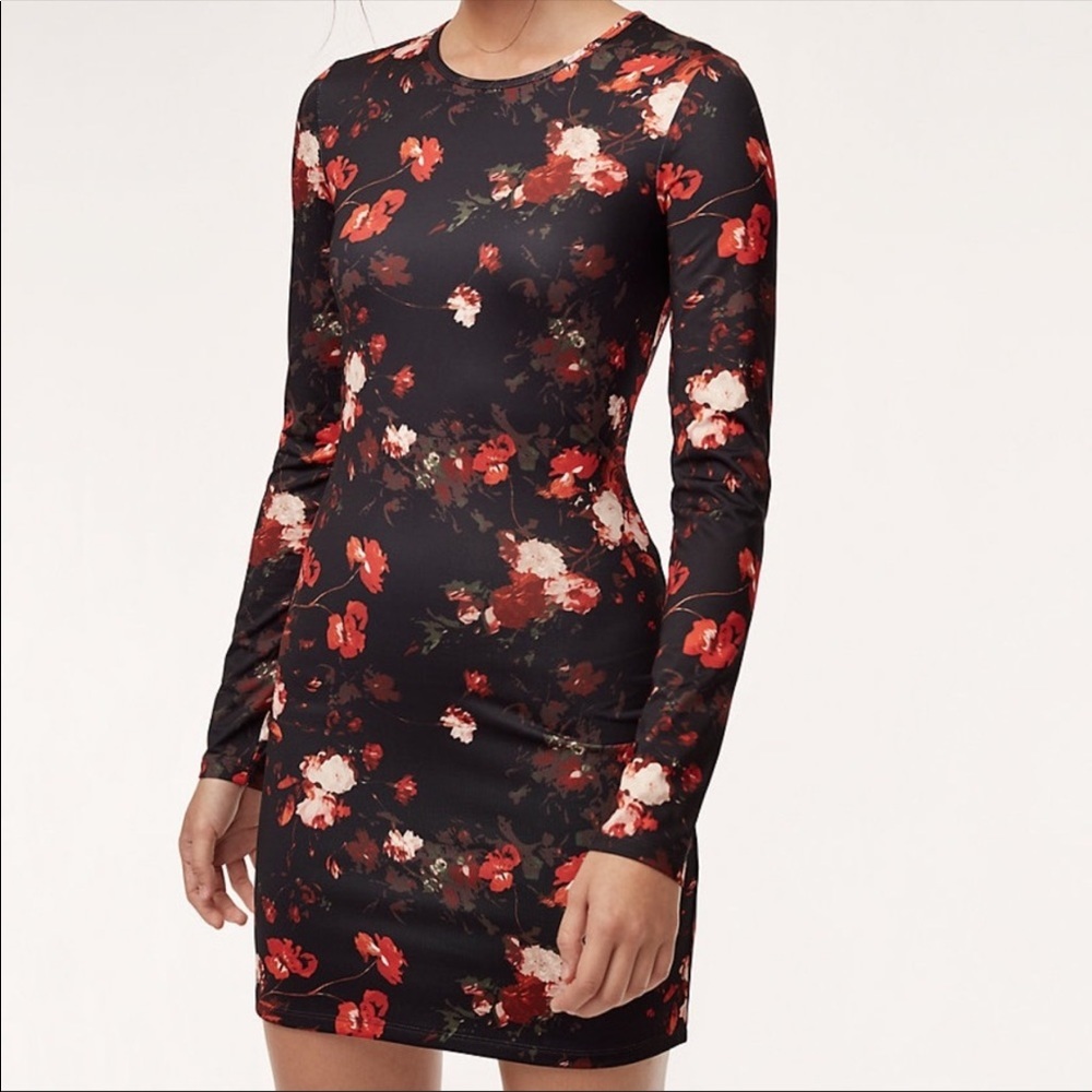 Aritzia Wilfred Fleure Floral Mini Dress